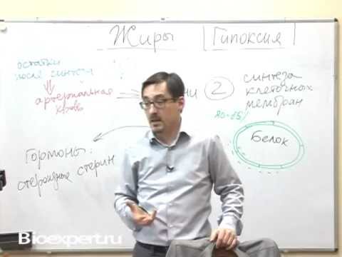 Психология мужчины: агрессия и гормон тестостерон!