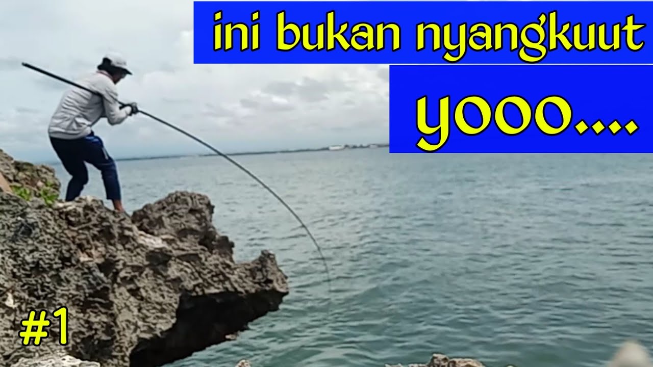 Mancing baronang teknik garong umpan lumut || #31