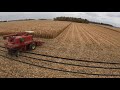 Straight & Efficient Corn Harvesting - CASE International 1440 Axial-Flow - Fulton - Harvest 2020