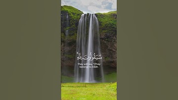 #ياسر_الدوسري #اكسبلور #المصحف #quran #لايك #الرحمن #قرآن #دويتو #تيك_توك #تلاوة_خاشعة #يارب #حالات