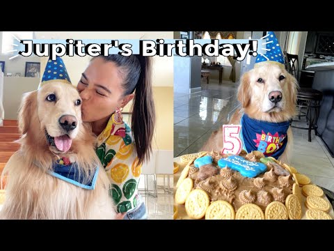 Jupiters Birthday Celebration!🐶🌈 (he turned 5!!🥺)