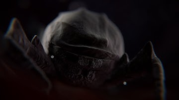 MetaVoid - Dodecahedron (Official Music Video)