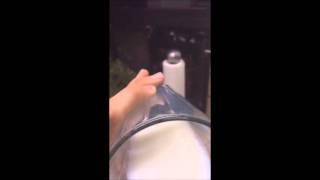 POV milk drink screenshot 3