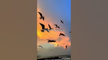 #قران_كريم #اكسبلور #قران_بصوت_جميل #اذكار #دويتو #لايك #تيك_توك #حالات #حالات_واتس #حالة_وتساب