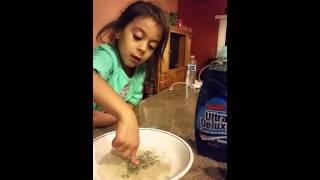 Dancing pepper experiment by 4 year old