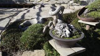 David Benavente Studio Madrid