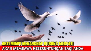 Arti Mimpi Menangkap Burung Merpati Akan Membaqa Keberuntungan - Bahar Channel