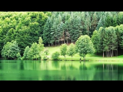 Video: Odmor Uz Jezero