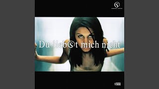 Du liebst mich nicht (12&quot; Mix)