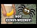 ​Are Boner Spiders Hiding in Your Bananas?! - Food Feeder