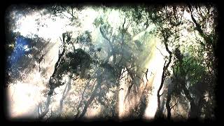 Acc \u0026 BH - Overtone