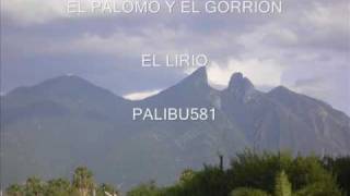 EL PALOMO Y EL GORRION-EL LIRIO chords