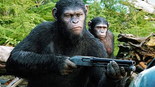 Dawn Of The Planet Of The Apes - Movie Review 2014
