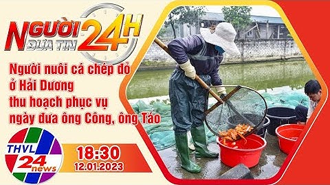 Người đưa tin 24H (18h30 ngày 12/01/2023) - Người nuôi cá chép đỏ ở Hải Dương thu hoạch phục vụ ...