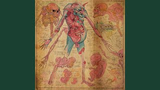 Nekrogoblikon - No Such Thing as a Key