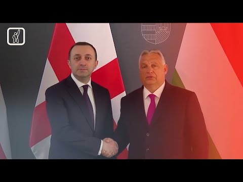 „ოცნება“ ევროპარლამენტში პარტნიორების გარეშე რჩება