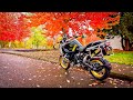 Most Epic BMW GSA Yet..!! • 2021 40 Years Edition! | TheSmoaks Vlog_1816