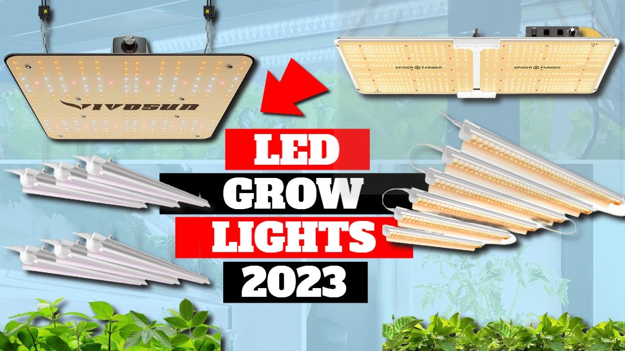 LED Grow Lights: The Best System for Indoor Plants