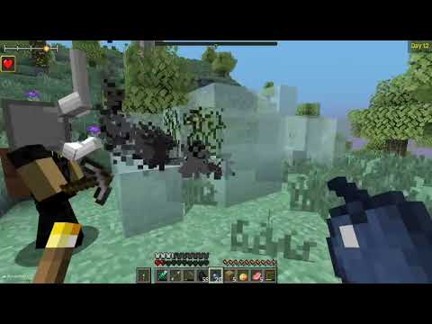 rebirth minecraft - YouTube