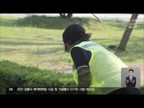 KBS 뉴스 라이브 스트리밍