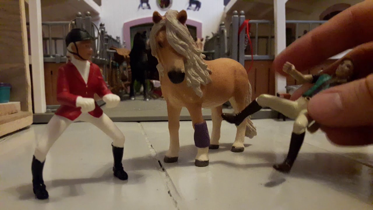 Sarssi-Seija ja Korona-Kaija rokottaa konitallin