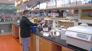 UB: Omicron COVID-19 variant detected in Erie County; first time detected in Western New York