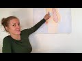Körper-Basics: Männliche Geschlechtsorgane