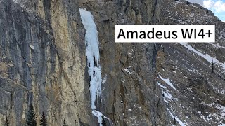 Ice Climbing | Amadeus WI4+ M5