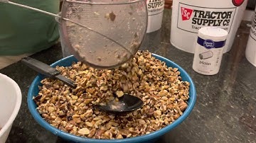 Salt separation technique for cracked Black Walnuts