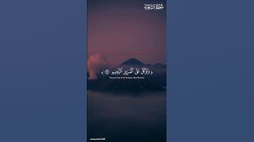 وتوكل علي العزيز الرحيم..... | تلاوة خاشعة للقارئ إسلام صبحي 🎧😌 | #قرآن_كريم #تلاوة_مؤثرة