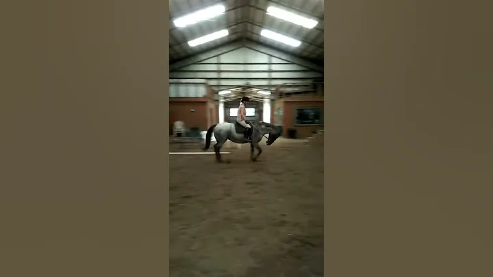 Mikel training session with Rebecca Meador. Aug. 2