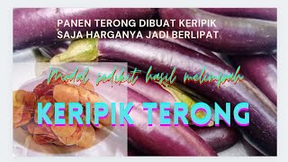 Download lagu EGGPLANT CHIPS can be a side business, home business and a small capital business idea with big p...