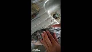 Making a Escabeche---Performance Task In TLE---Grade 8
