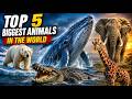 Biggest Animals in the World 🐋🌍