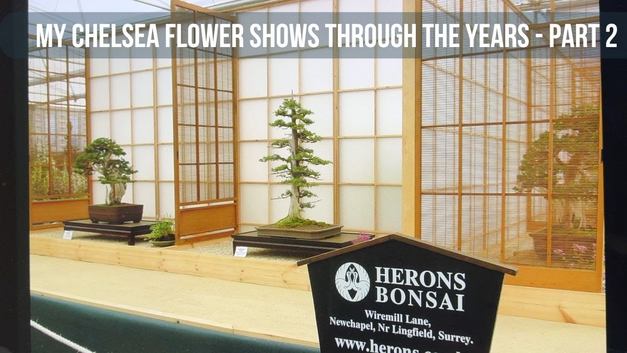 My Chelsea Flower Shows Through the Years - Part 2