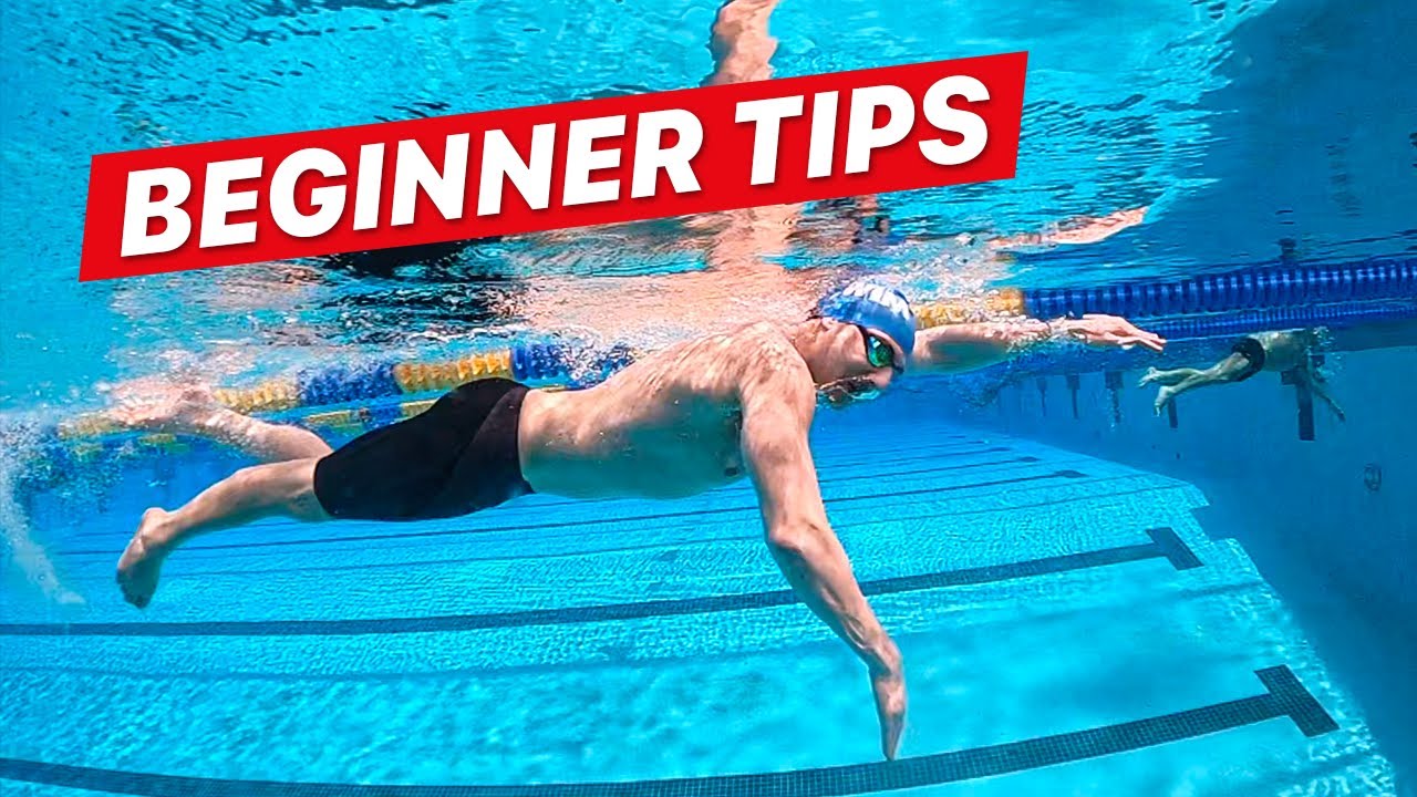 How to Swim Freestyle for Beginner Adults 