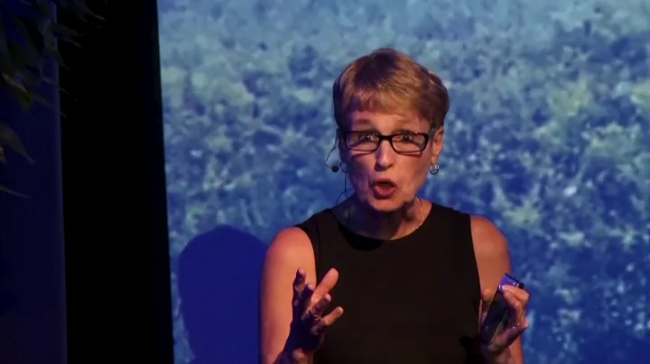 A scourge of ticks | Mary Beth Pfeiffer | TEDxShin...