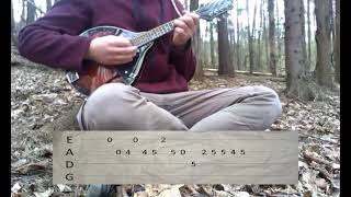 Korpiklaani - Pellonpekko (mandolin cover with tabs)