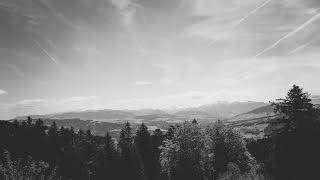 Suika #029 w/ Arutani, Brian Cid, BOg, Jamie Ward, Nick Batik, Lessovsky and others...