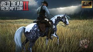 Horse Ride With Silver Dapple Pinto Missouri Fox Trotter-RDR 2 - 4K UHD Ultra Max Graphics DLAA 100%