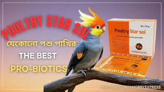 Poultry Star Sol's Probiotics SECRETS for a Healthier Flock! #probiotics screenshot 5
