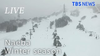 【LIVE】苗場スキー場  ライブカメラ / Naeba Niigata, JAPAN(2020年12月21日)