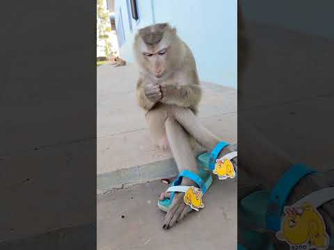 Wow Yaya So Beautiful