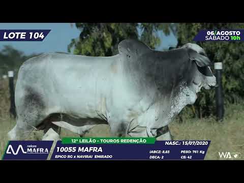 LOTE 104 MFRA 10055