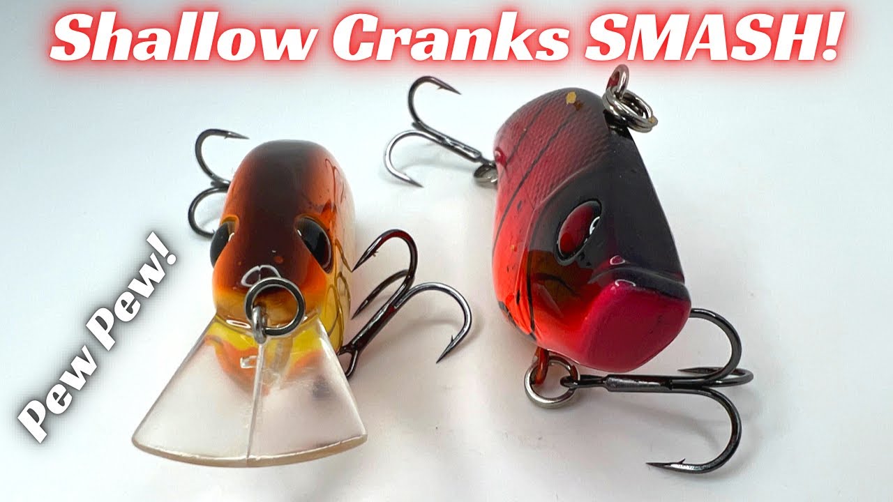 Don't Overlook These Shallow Running Crankbaits! They SMASH'EM In The  Spring! 