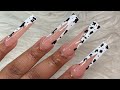 French Cow Print Nails 🐄🤍 | XXL Nails| Cow Print Nails | Polygel Nails | Modelones