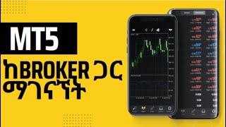 How To Connect Broker To Mt5  Step By Step Guide