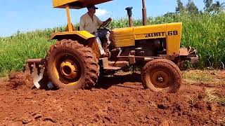 trabalho na roça