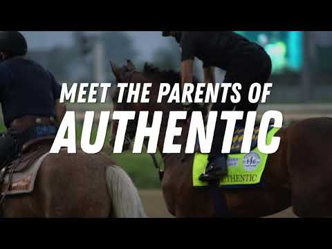 Meet The Parents: Authentic Edition