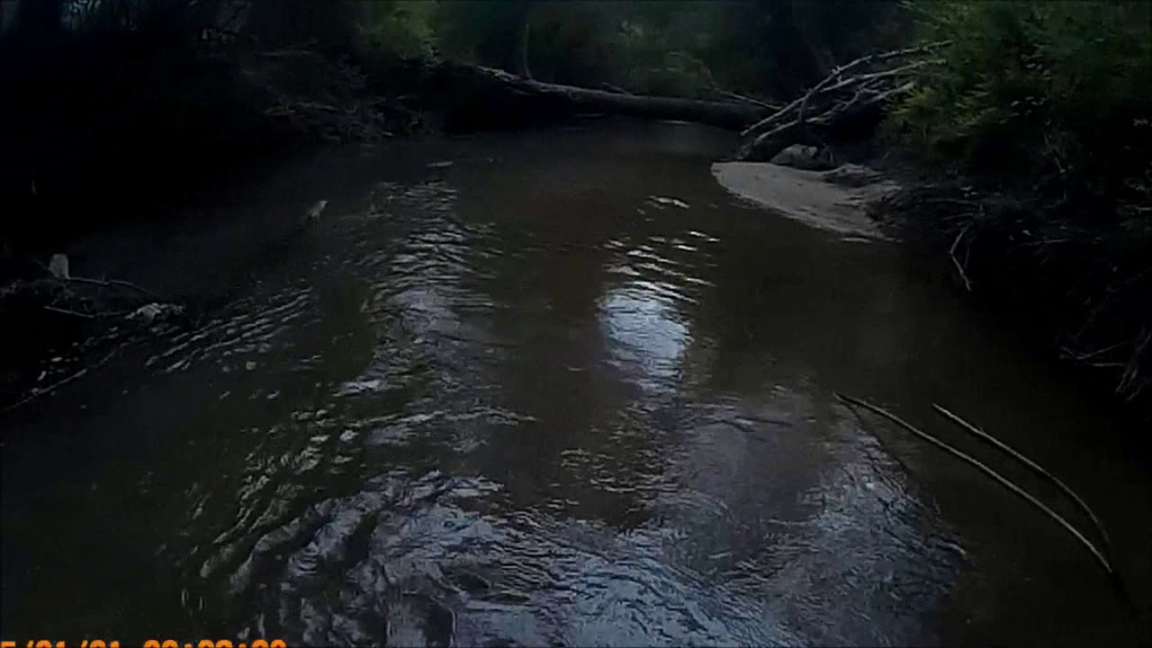 Creek wading YouTube